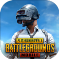 pubg2.5.0版本体验服官方下载最新版本2023 v2.5.0