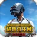 pubg国际服手游下载2.50版本 v2.5.0
