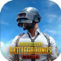 pubgmobile最新版本下载2023体验服 v2.5.0
