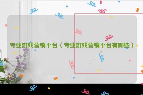 专业游戏营销平台（专业游戏营销平台有哪些）