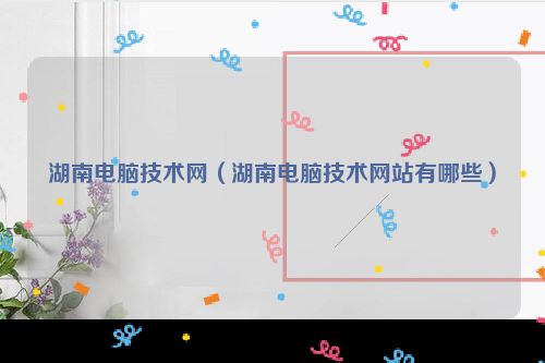 湖南电脑技术网（湖南电脑技术网站有哪些）
