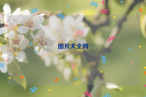 图片大全网