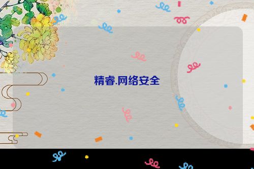 精睿.网络安全