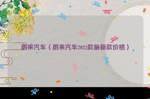 蔚来汽车（蔚来汽车2022款最新款价格）
