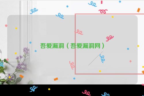 吾爱漏洞（吾爱漏洞网）