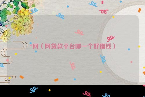 *网（网贷款平台哪一个好借钱）