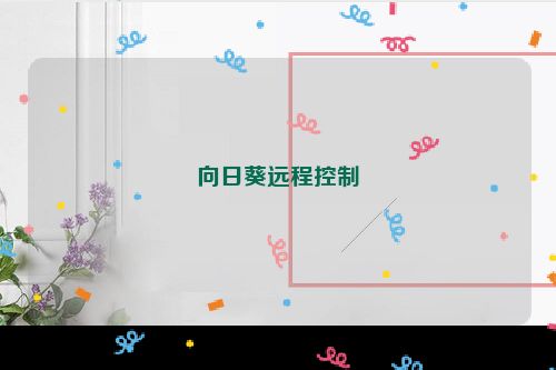向日葵远程控制