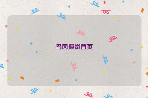 鸟网摄影首页