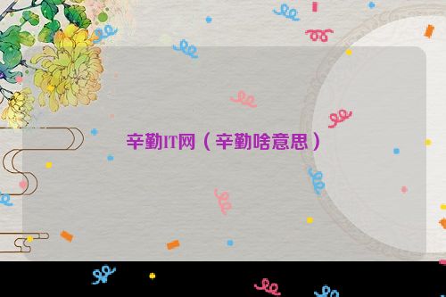 辛勤IT网（辛勤啥意思）