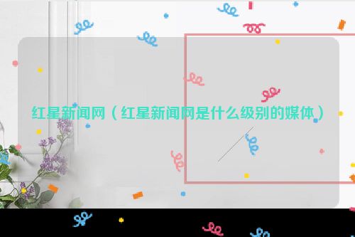 红星新闻网（红星新闻网是什么级别的媒体）