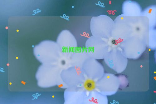 新闻图片网