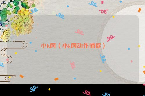 小K网（小k网动作捕捉）