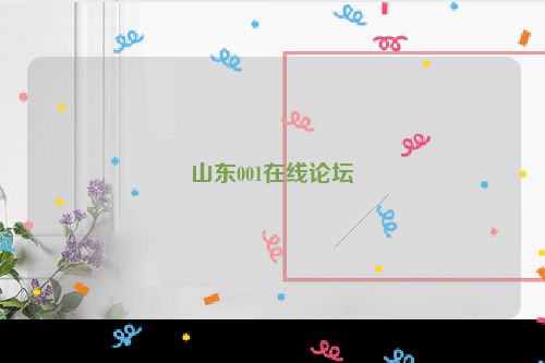 山东001在线论坛