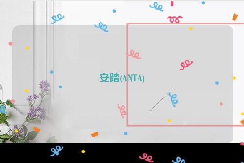 安踏(ANTA)