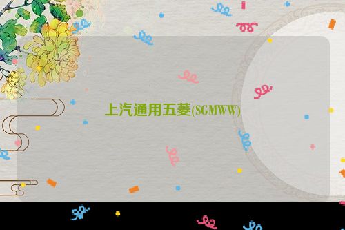 上汽通用五菱(SGMWW)