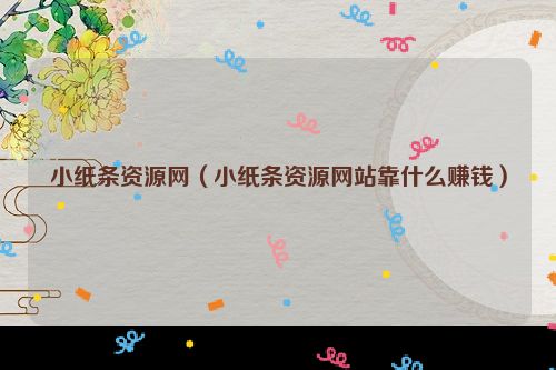 小纸条资源网（小纸条资源网站靠什么赚钱）