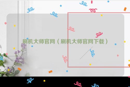 刷机大师官网（刷机大师官网下载）
