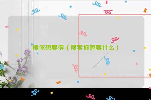 搜你想要得（搜索你想要什么）
