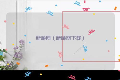 新嵊网（新嵊网下载）