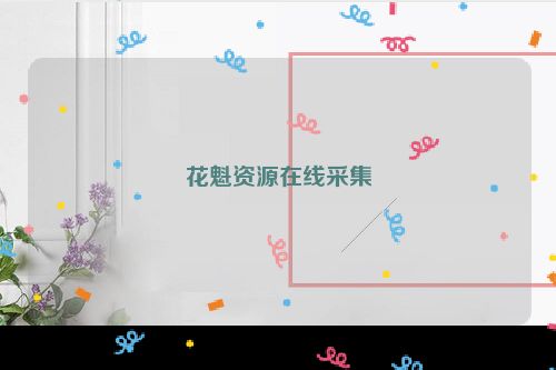 花魁资源在线采集