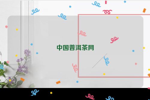 中国普洱茶网