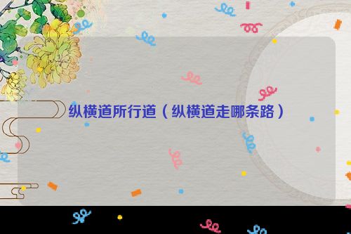 纵横道所行道（纵横道走哪条路）