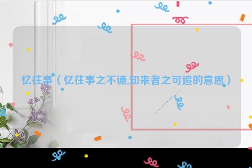 忆往事（忆往事之不谏,知来者之可追的意思）