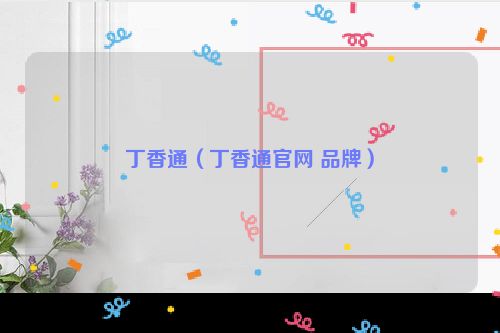 丁香通（丁香通官网 品牌）