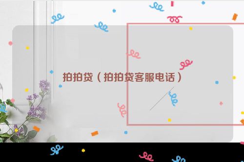 拍拍贷（拍拍贷客服电话）