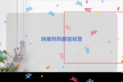 阿里妈妈数智经营