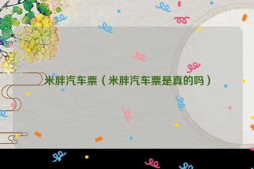 米胖汽车票（米胖汽车票是真的吗）