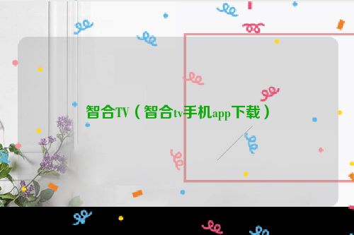 智合TV（智合tv手机app下载）