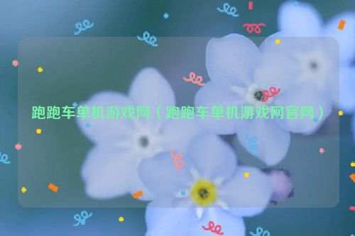 跑跑车单机游戏网（跑跑车单机游戏网官网）