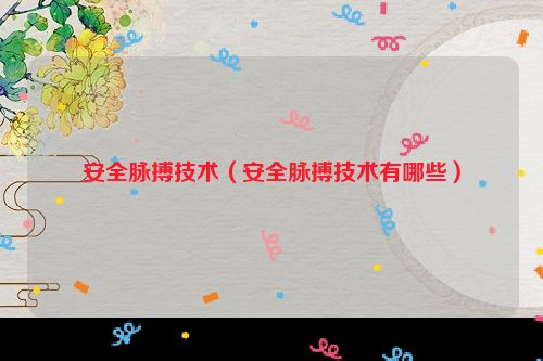 安全脉搏技术（安全脉搏技术有哪些）