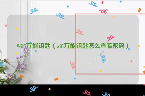 WiFi万能钥匙（wifi万能钥匙怎么查看密码）