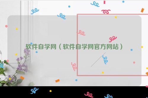 软件自学网（软件自学网官方网站）