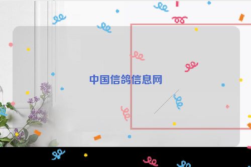 中国信鸽信息网