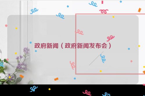 政府新闻（政府新闻发布会）