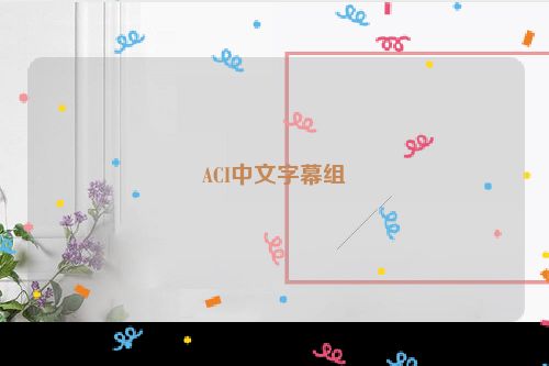 ACI中文字幕组