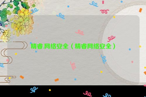 精睿.网络安全（精睿网络安全）