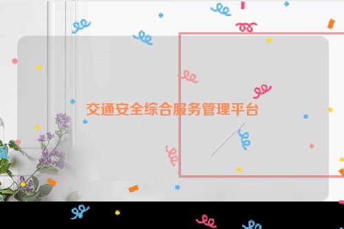 交通安全综合服务管理平台