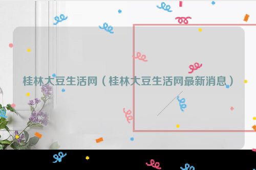 桂林大豆生活网（桂林大豆生活网最新消息）