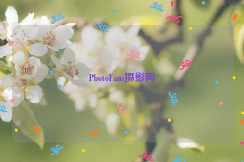PhotoFans摄影网