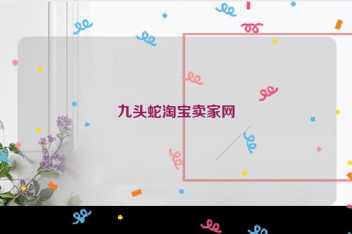 九头蛇淘宝卖家网
