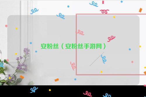 安粉丝（安粉丝手游网）