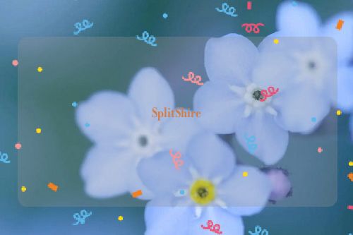 SplitShire