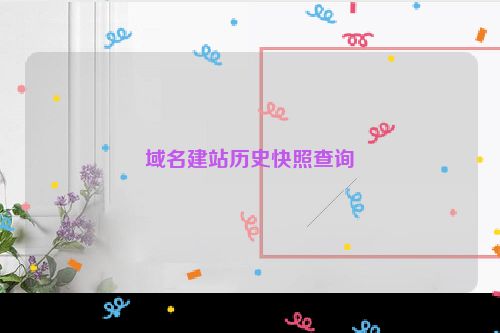 域名建站历史快照查询