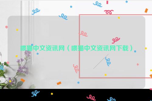 喂猫中文资讯网（喂猫中文资讯网下载）