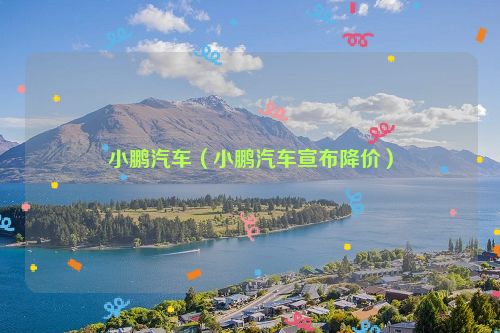 小鹏汽车（小鹏汽车宣布降价）