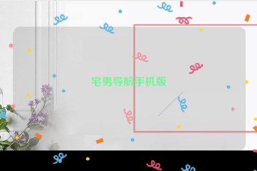 宅男导航手机版